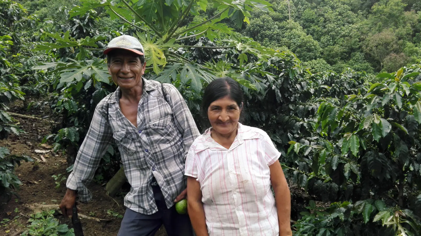 Productores sonriendo en su parcela de café