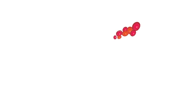 Selvaexport · Asociación de Productores Cafetaleros