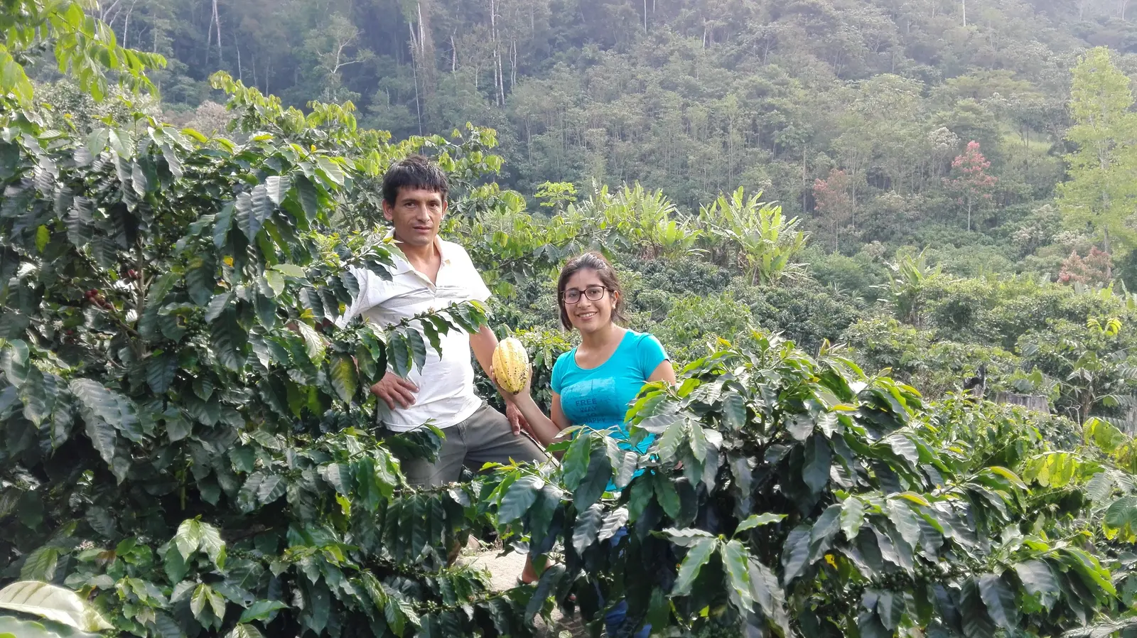 Pareja de productores entre cafetos